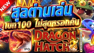 สล็อตออนไลน์ สล็อตพีจี เว็บตรง2025 | สุลต่านเล่นเบท100 Dragon Hatch2