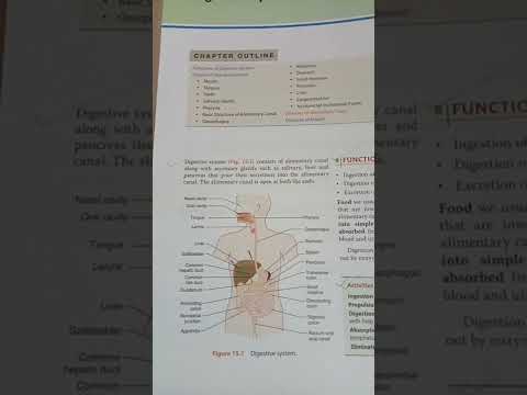 Digestive system #gnm1styearstudent #viralvedio #shortsfeed #youtubefeed#youtubeshorts  #shorts