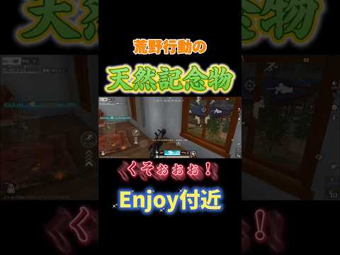 【荒野行動】荒野の天然記念物　エンジョイ付近www#荒野行動 #キル集#android勢 #shorts #youtubeshorts