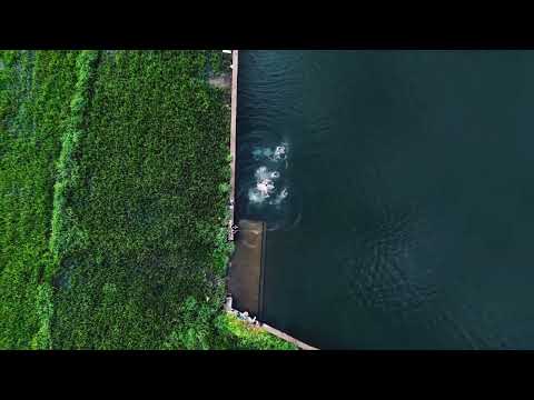 The beauty of nature | Malappuram, Kerala