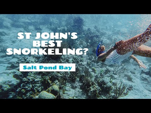 Salt Pond Bay Beach - St John, USVI Snorkeling - 4K