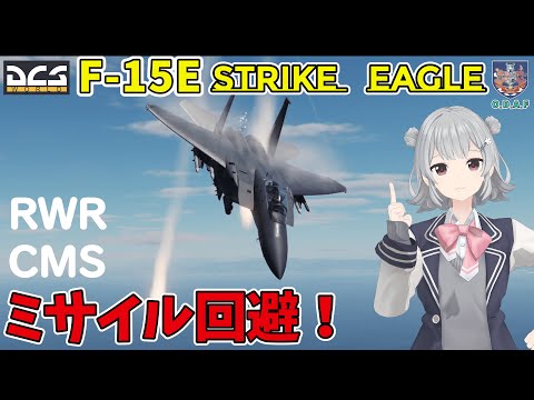 【DCS解説】F-15E　RWR / チャフ / フレア　実践チュートリアル！