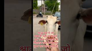 गयाजी में पिंडदान के बराबर पुण्य। #shorts #viral #pradeepmishra #pitripaksha #pinddan #upay #puja