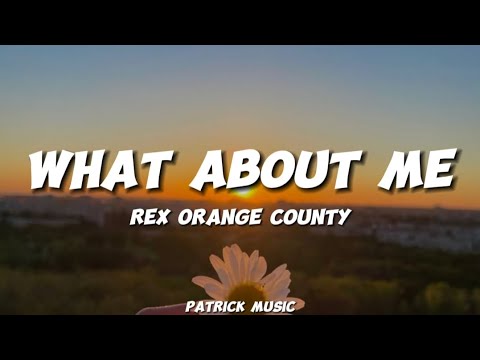 Rex Orange County - What about me ( Lyrics )