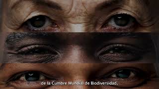 Colombia, sede de la Cumbre Mundial de Biodiversidad COP16