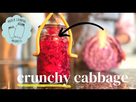 How to Can CRUNCHY Cabbage |  Preserving Crunchy Red Cabbage Slaw | March Canning Madness