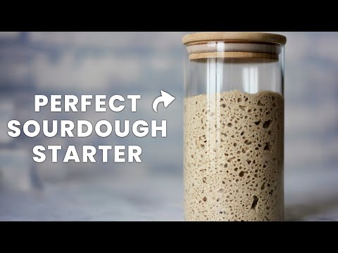 The Last SOURDOUGH STARTER RECIPE You Ever Need