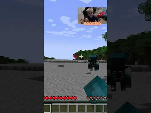 Minecraft but the warden chases me