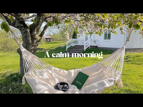 a calm spring morning | a dreamy morning playlist⭐romanticize your life with 2025 guitar music