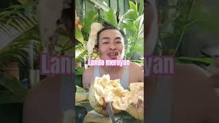 Lando awal pagi meroyan#viral #mukbang #skyscraper #landonnyguen#https://youtu.be/4W9cZY29w7U