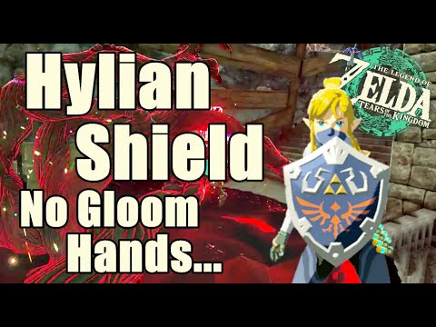 Hylian Shield Zelda Tears of The Kingdom