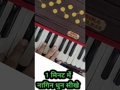 1मिनट में नागिन धुन सीखे On Harmonium #maloyawale #harmonium #shorts