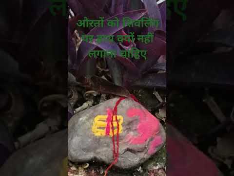 औरतों को शिवलिंग पर हाथ क्यों नहीं करना चाहिए जाने।#panditpradeepmishrajikeupay #shortvideo