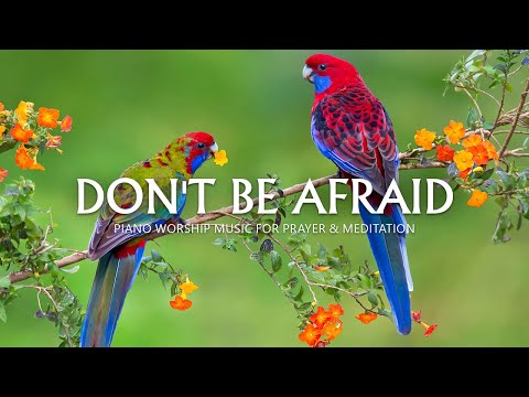 Don't Be Afraid: God Is Able | 3 Hour Prayer, Meditation & Relaxation Music | Christian Piano