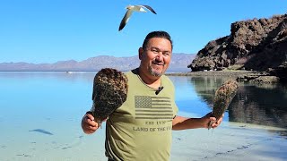 Mejor playa de Baja California Sur, Mulege