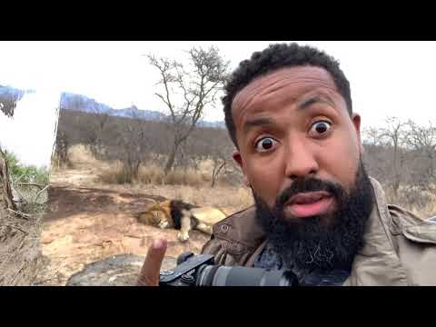 South African Safari with Kent Johnson