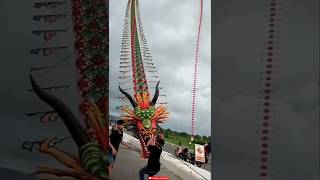 Biggest kite festival in japan |