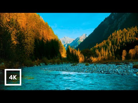 4K Autumn Alpine River in Forest | Relaxing Nature Ambience with Birdsong | Tranquil River Sounds