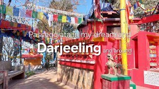 [Passeggiata] in Darjeeling India. Winding road from the airport, toy train, tea and Himalaya. Dream