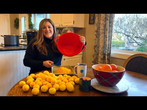 Canning Lemonade Concentrate with Our Homegrown Lemons & Seedling Update! 🍋🌱😁 // Garden Answer