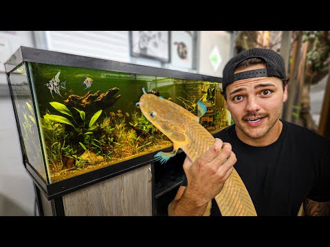 Buying CREEPY FISH for My FRESHWATER TANK!!