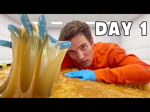 SPENDING 50 HOURS IN A HUMAN GLUE TRAP