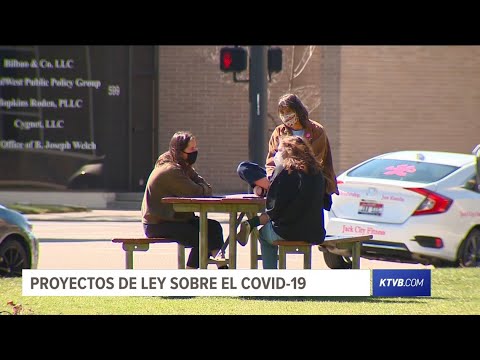 Proyectos de ley sobre el COVID-19