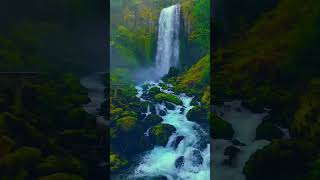 A mesmerizing dance of nature! 🌊🌿 #WaterfallMagic #waterfall #MotherNature #NatureLover #Nature