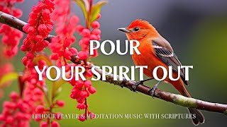 POUR YOUR SPIRIT OUT | Worship & Instrumental Music With Birds | Christian Harmonies.