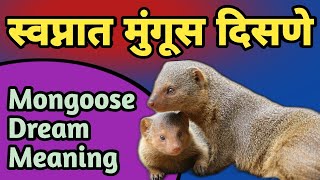 स्वप्नात मुंगूस दिसणे | Swapnat Mungus Disne | Mongoose Dream Meaning