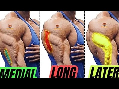 How to Workout triceps with dumbbell  Triceps workout at home