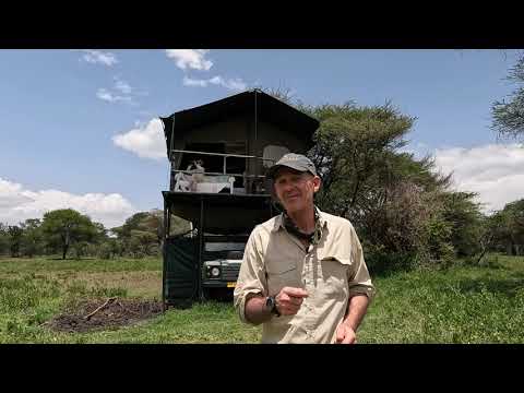 Tanzania: Bush Rover Camp Serengeti