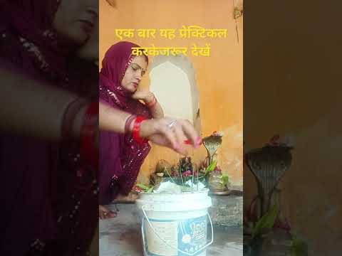 शिव मंदिर में जाकर एक बार यह प्रेक्टिकल करकेजरूर देखें।#pradeepmishrajidhankeupay #viralvideo #short