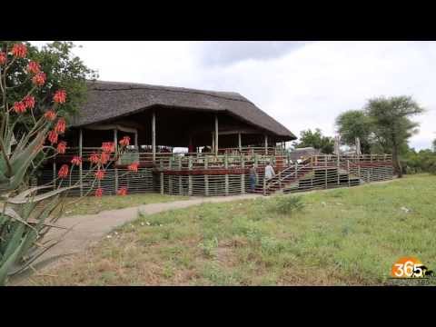 Tarangire River Lodge, Tanzania | Safari365