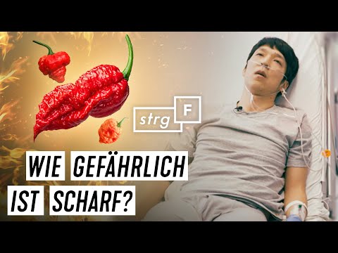 Chili total: Wie viel scharf kann Han? 🌶️🌶️🌶️  | STRG_F