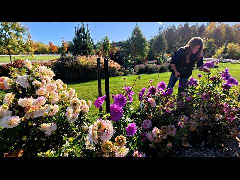 Cutting Flowers for a Wedding, Planting Trees & Harvesting Pumpkins! 🌸🌳🎃 // Garden Answer