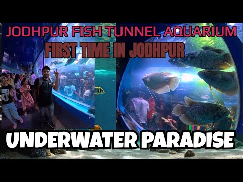 Jodhpur under water tunnel fish 🐠 expo #GoPro #viral #vlog #live