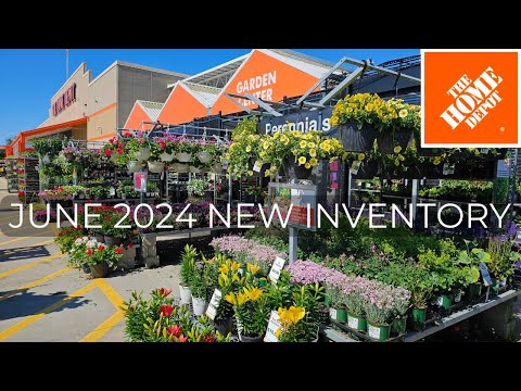 NEW ARRIVALS! Home Depot Garden Center Plants 2024 Perennials, Shrubs, Evergreens