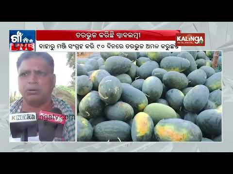 Man becomes self-independent by cultivating watermelon in Udala | Kalinga TV