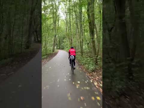 Riding through Amsterdamse Bos (Forest) #cycling #bicyclingnl #cyclinglife