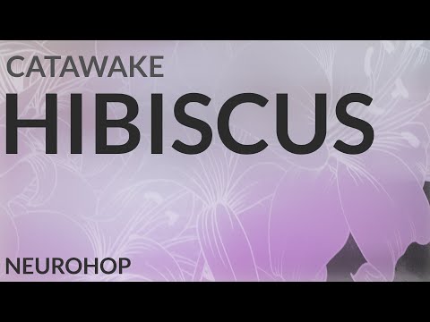 CATAWAKE - HIBISCUS [Visualizer Music Video]