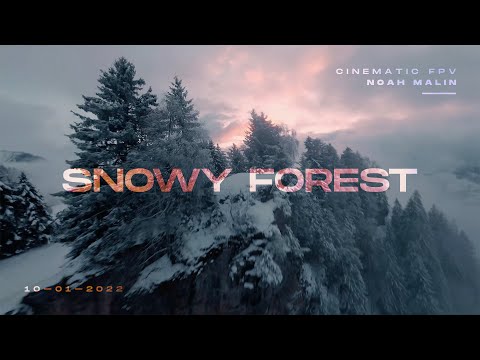 SNOWY FOREST — Cinematic FPV