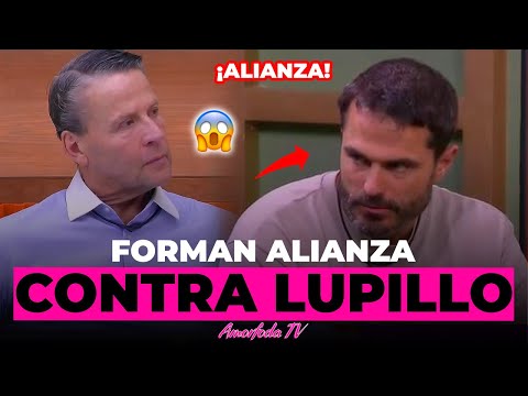 ALFREDO ADAME Y NACHO CREAN ALIANZA PARA ELIMINAR A LUPILLO! 😱 LA CASA DE LOS FAMOSOS ALL STARS