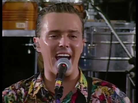 Tears for Fears - 1990 Change Live at Knebworth Pro