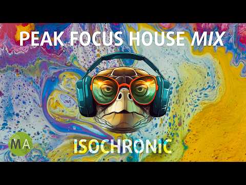 Peak Focus For Complex Tasks House Turtle Mix with Isochronic Tones