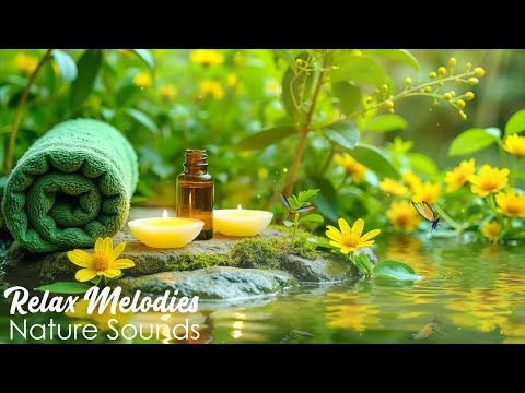 Relaxing Piano Music + Insomnia and Healing 🌿 Relaxing Music, Sleep Music, Meditation, Nature Sound