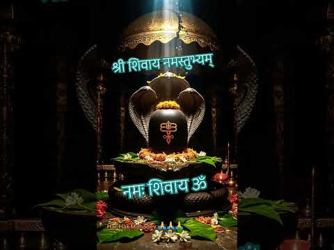 श्री शिवाय नमस्तुभ्यम्  #viralvideo #shorts #shivratri #omnamahshivaya #bhaktishorts #ytshorts #shiv