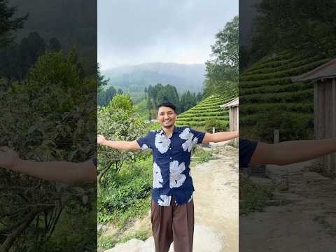 Sittong ঘুরলাম! ⛰️😍 #shorts #vlog