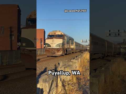 Fast Amtrak Train in Puyallup, Washington #train #railway #amtrak #fasttrains #trainshorts