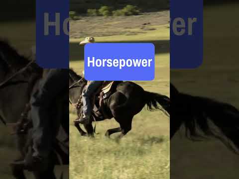 Tier List of US Units of Measurement - Acre and Horsepower #units #science #engineering